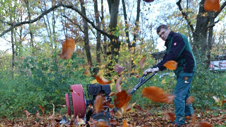 Im Hain mit dem "Flüsterbläser" Foto: Barbara Herbst