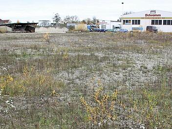 Nicht verwirklichen kann der Bauunternehmer Martin Schramm seinen Plan, auf seinem 17 788 Quadratmeter großen Gelände an der Oberauer Straße in Bad Staffelstein ein Asylbewerberwohnheim zu bauen. Das verhindern der Aufstellungsbeschluss des Stadtrates und die erlassene Veränderungssperre.  Foto: Matthias Einwag