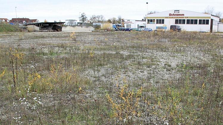Nicht verwirklichen kann der Bauunternehmer Martin Schramm seinen Plan, auf seinem 17 788 Quadratmeter großen Gelände an der Oberauer Straße in Bad Staffelstein ein Asylbewerberwohnheim zu bauen. Das verhindern der Aufstellungsbeschluss des Stadtrates und die erlassene Veränderungssperre.  Foto: Matthias Einwag