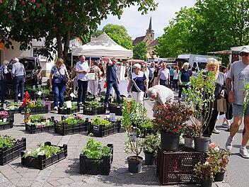 Fr&uuml;hjahrsmarkt in K&uuml;ps: Ein Paradies f&uuml;r Gartenliebhaber