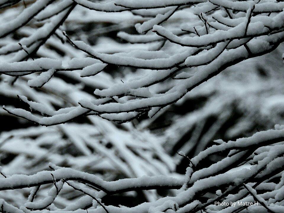 Schnee und Eis - Die schönsten Aufnahmen aus Franken