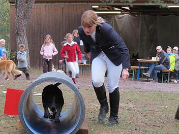 Theresa Schießer schickt ihren 7-jährigen Beagle "Ben" durch einen Tunnel, was er auch gehorsam macht. Fotos: Doris Bauer