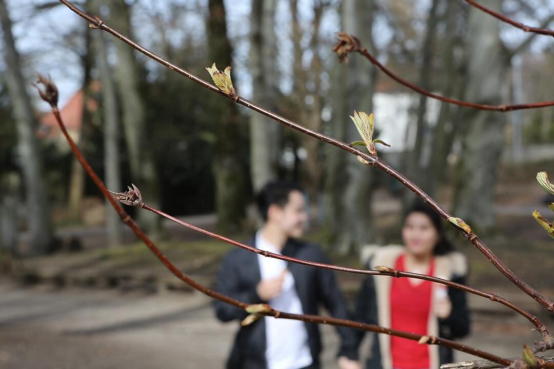 Frühling in Franken: Das Leben erwacht