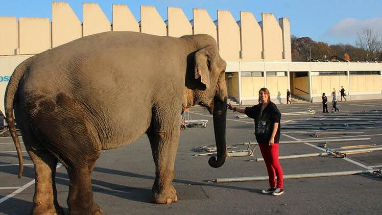 "Das fühlt sich schön an!" Anna-Lena Koller wagt sich ganz nah an die 46-jährige Elefantin Karla heran. Fotos: Simone Bastian