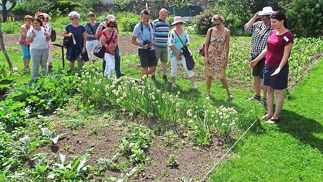 Im Arche-Noah-Garten in Schildern wurde im Schaugarten &uuml;ber die Vermehrung und Sicherung alter Pflanzen und Gem&uuml;sesorten informiert. Foto: Guntram Ulsamer, Landratsamt Ha&szlig;berge