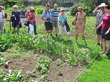 Im Arche-Noah-Garten in Schildern wurde im Schaugarten über die Vermehrung und Sicherung alter Pflanzen und Gemüsesorten informiert. Foto: Guntram Ulsamer, Landratsamt Haßberge