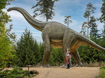 Naturpark Altmühltal im Dinosaurier Museum