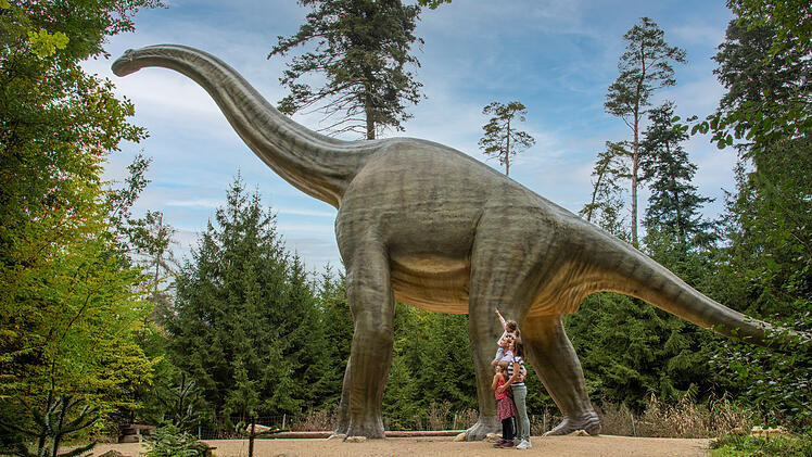 Naturpark Altmühltal im Dinosaurier Museum