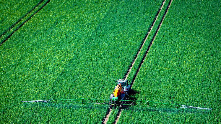 Pflanzenschutz auf Rapsfeld