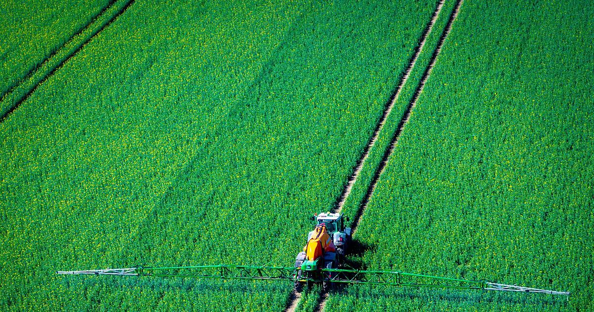 Studie-Pestizide-sch-digen-Europas-B-den-und-N-tzlinge