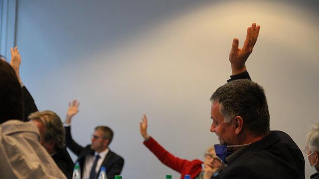 Motiviert geht der Br&uuml;ckenauer Stadtrat an die Arbeit. Zw&ouml;lf von 20 R&auml;ten sind neu dabei. Foto: Archiv/Ulrike M&uuml;ller