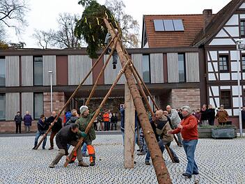 Der Kirmesbaum wird von der Feuerwehr ausgesucht. Fotos: Peter Rauch