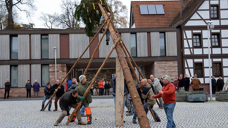 Der Kirmesbaum wird von der Feuerwehr ausgesucht. Fotos: Peter Rauch