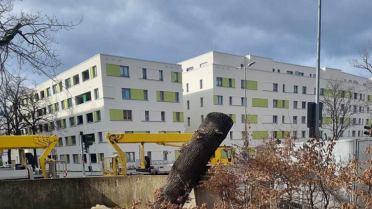 Baum in Nürnberger Kita umgestürzt: Mutter empört - "hätte Kinder töten können"