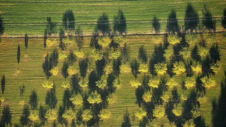 "Schattenplantage" - ein schönes Beispiel für die Umsetzung unseres Themas "Licht und Schatten".  Foto: Dieter Höner/Blende
