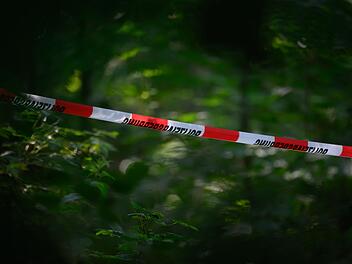 Kind bei Forstarbeiten in Bayern von Baum getroffen und gestorben