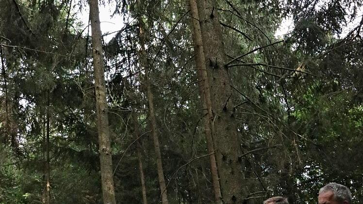 Sie referierten im neu erworbenen grünen Fichtenbestand am Hambach (von rechts): Forstamtsrat Wolfgang Gnannt, der neue Jagdpächter Uwe Beier, Forstoberrat Jürgen Hahn und Sven Kaps, Revierleiter bei den Bayerischen Staatsforsten. Foto: Helmut Will