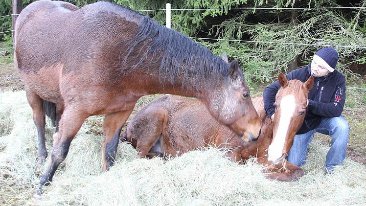 Werner Muffel mit den Pferden Sunny (links) und Jaiyl in der Koppel bei Neukenroth  Foto: Friedwald Schedel