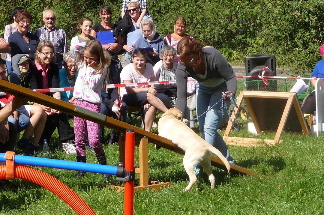 19.8.2017 Tierheimfest Kulmbach