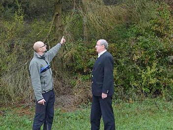 Revierleiter Armin Hanke (links) erörtert mit Forstdirektor Michael Schneider an einem Waldrand bei Zeyern die Folgen von Schädlingsbefall. In diesem Falle haben sich Kupferstecher in der Krone der Fichte angesiedelt und den Baum zum Absterben gebracht.  Foto: Karl-Heinz Hofmann