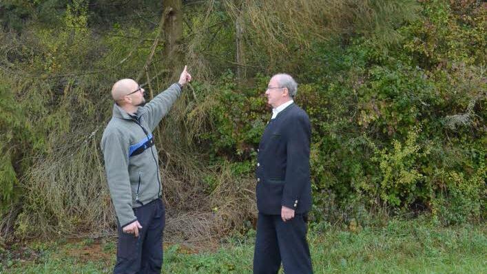 Revierleiter Armin Hanke (links) erörtert mit Forstdirektor Michael Schneider an einem Waldrand bei Zeyern die Folgen von Schädlingsbefall. In diesem Falle haben sich Kupferstecher in der Krone der Fichte angesiedelt und den Baum zum Absterben gebracht.  Foto: Karl-Heinz Hofmann