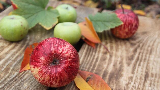 Äpfel zählen zu den beliebtesten Obstsorten. Ob du lieber süße oder säuerliche Früchte naschst, gehört zu deinen individuellen Vorlieben. Bei der Farbe solltest du stattdessen genauer hinschauen.