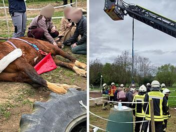 Nürnberger Land: Feuerwehr rettet Pferd aus Traktorreifen - "konnte sich nicht befreien"