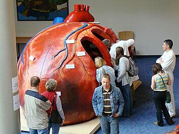 Dieses begehbare Herz wartet am Samstag im Foyer der Steigerwaldklinik auf die Besucher. Spezialisten erklären Funktion und mögliche Erkrankungen. Foto:  Organmodelle.de