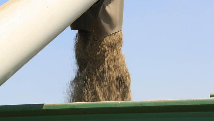 Die Arbeit eines ganzen Jahres ergießt sich auf den Wagen.Fotos: Ralf Ruppert