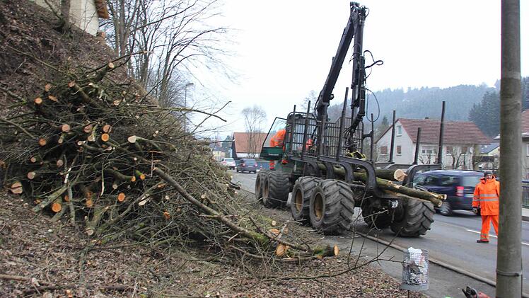 Die Stämme wurden in kurze Stücke geschnitten und verladen. Foto: Friedwald Schedel