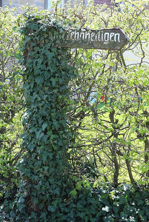 Klosterlangheim; Lankreis Lichtenfels; Foto: Barbara Herbst