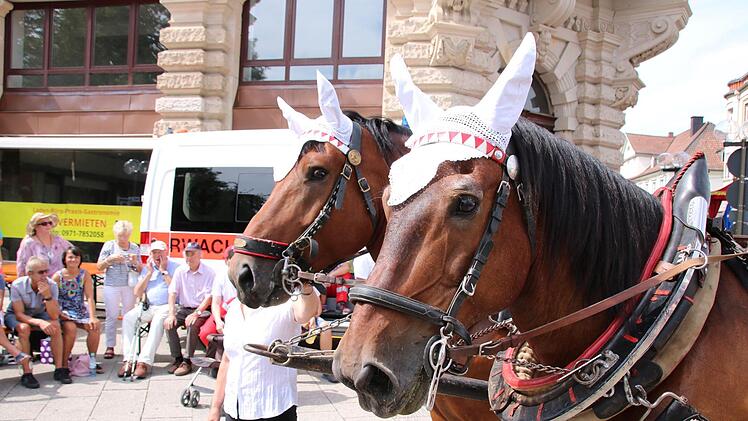 Impressionen vom Festzug 2018. Foto: Ralf Ruppert