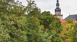 Vorschaubild