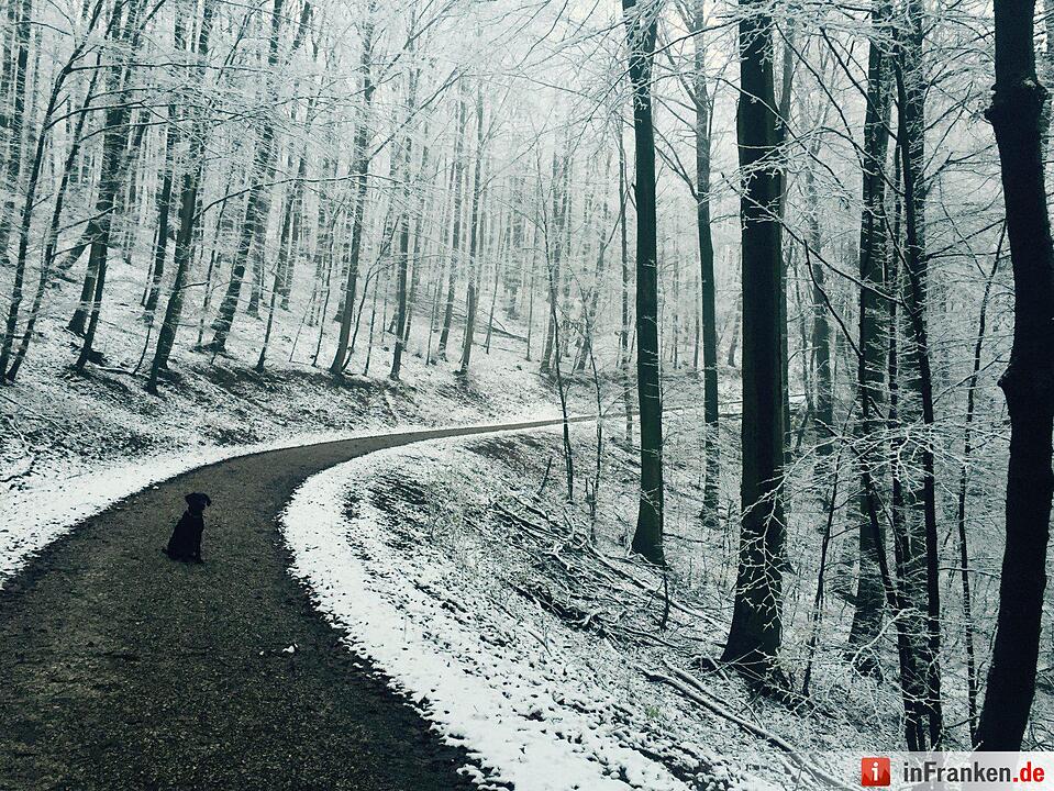 Schnee in Franken