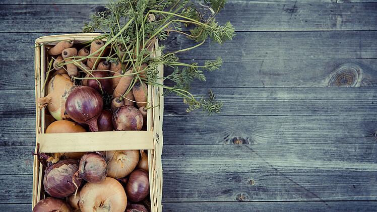 Coburg: Green-Deal-Ausstellung ab sofort in der Stadtb&uuml;cherei zu sehen