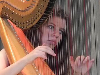 Maria -Theresa Freibott spielte beim Konzert von Sinfonietta Franconica an der Harfe.  Foto: Björn Hein