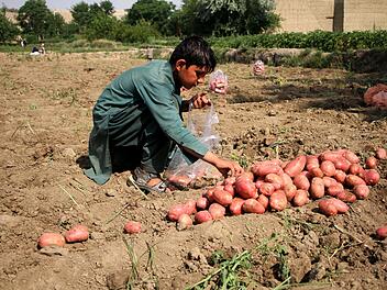 EU-Staaten stimmen für Lieferkettengesetz
