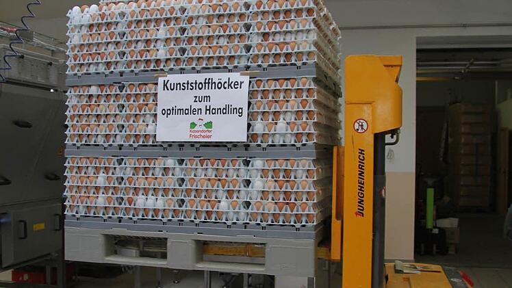 Für solch eine Palette mit 6500 Eiern braucht die Eiersortiermaschine nur wenige Minuten - in einer Stunde schafft die hochmoderne Maschine bis zu 36.000 Eier. Foto: Sonja Adam