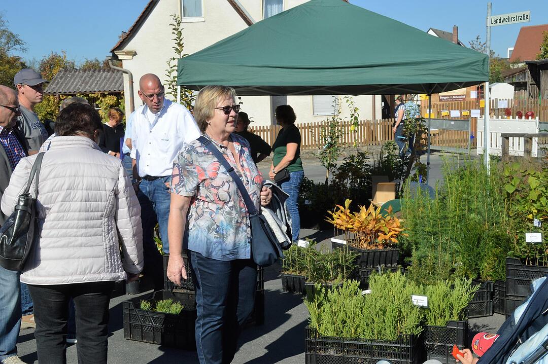 Holztag Scheinfeld 2017