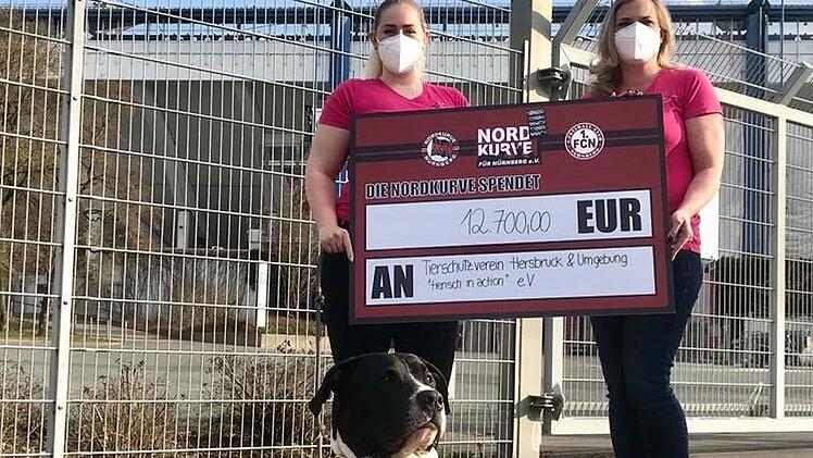 Tierheim Hersbruck erhält Rekordspende