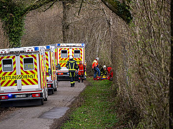 Baum umgest&uuml;rzt - Drei Tote bei Flensburg