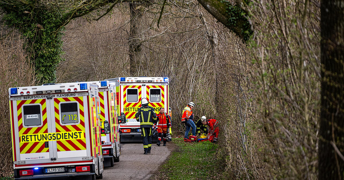Easter tragedy in Mittelangeln: Mother, infant, and teenager dead - | ...