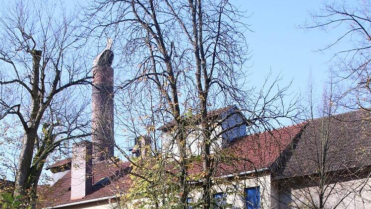 Ein Teilstück der Stadtmauer ist beim Abriss der Kegelbahn eingestürzt. Die Steine der Mauer sind aber intakt und werden wieder aufgebaut.