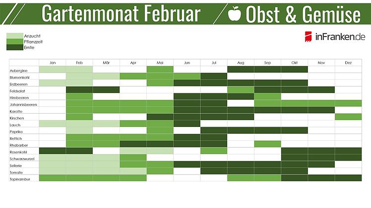 Saisonkalender Obst und Gemüse im Februar