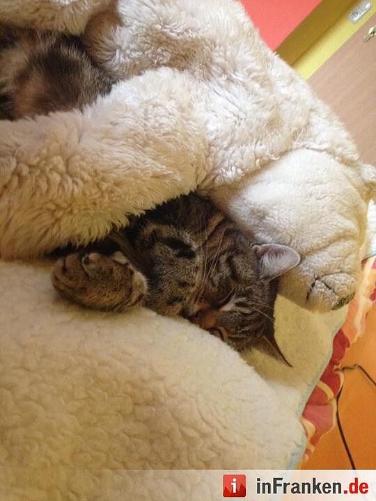 Foto: Susanne Lopatkin