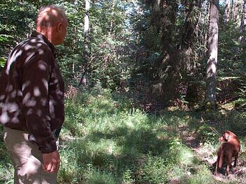 Romantisch und geheimnisvoll ist der Wald noch immer - und nicht nur Forstleute wie Albert Schrenker mit Hündin Ella gehen gern darin spazieren. Fotos: Rainer Lutz