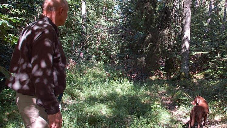 Romantisch und geheimnisvoll ist der Wald noch immer - und nicht nur Forstleute wie Albert Schrenker mit Hündin Ella gehen gern darin spazieren. Fotos: Rainer Lutz