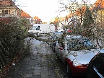 Sturmtief Friederike sorgte in Erlangen für 30 Einsätze der Feuerwehren. Bäume stürzten um, in einem Fall musste ein Gerüst gesichert werden. Foto: Feuerwehr Erlangen