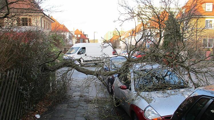 Sturmtief Friederike sorgte in Erlangen für 30 Einsätze der Feuerwehren. Bäume stürzten um, in einem Fall musste ein Gerüst gesichert werden. Foto: Feuerwehr Erlangen