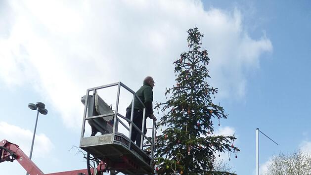 Der Osterbaum in Morschreuth wird geschm&uuml;ckt. Foto: Thomas  Weichert